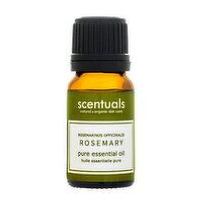 Scentuals - Rosemary Pure Essential Oil, 10 Millilitre