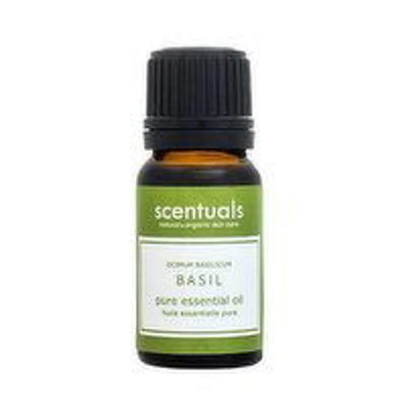 Scentuals - Sweet Basil Pure Essential Oil, 10 Millilitre