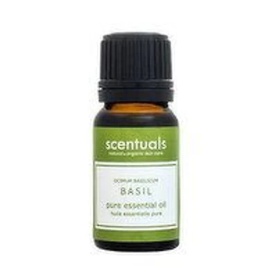 Scentuals - Sweet Basil Pure Essential Oil, 10 Millilitre