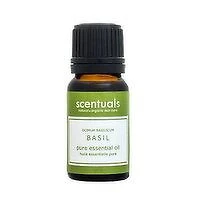 Scentuals - Sweet Basil Pure Essential Oil, 10 Millilitre