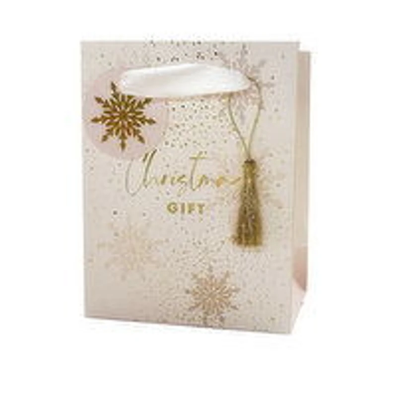 Paper Trendz - Deluxe Xmas Gift Bag Small, 1 Each