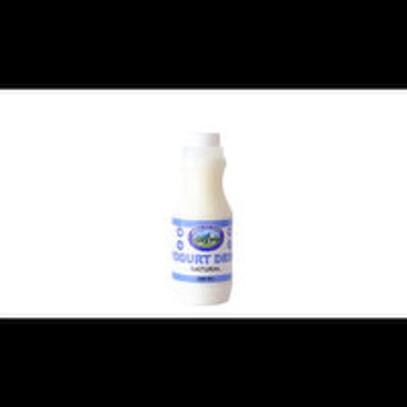 Himalaya Dairy - Doogh Plain, 1 Each