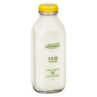 AVALON - Skim Milk, Organic, 1 Litre