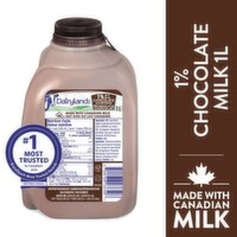 Dairyland - Chocolate Milk Beverage, 1 Litre