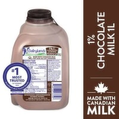 Dairyland - Chocolate Milk Beverage, 1 Litre