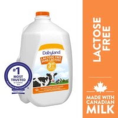 Dairyland - Lactose Free 3.25% Milk, 4 Litre