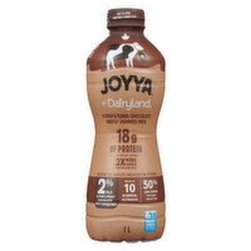 Joyya - Chocolate Dairy Beverage, 1 Litre