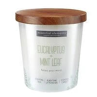 Candle-Lite - Candle it Eucalyptus & Mint Leaf Candle, 255 Gram