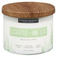 Candle-Lite - Candle it Eucalyptus & Mint Leaf Jr 14., 418 Gram