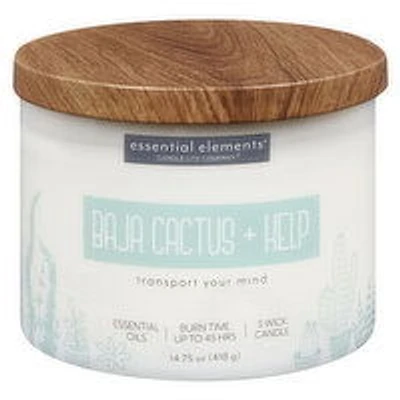 Candle-Lite - Baja Cactus & Kelp Candle Jar, 1 Each