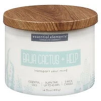 Candle-Lite - Baja Cactus & Kelp Candle Jar, 1 Each
