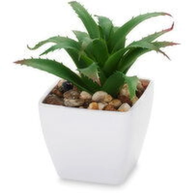 Succulent - Artificial Plant In White Pot 5.5In, 1 Each
