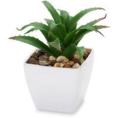 Succulent - Artificial Plant In White Pot 5.5In, 1 Each