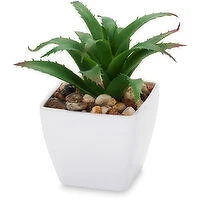 Succulent - Artificial Plant In White Pot 5.5In, 1 Each