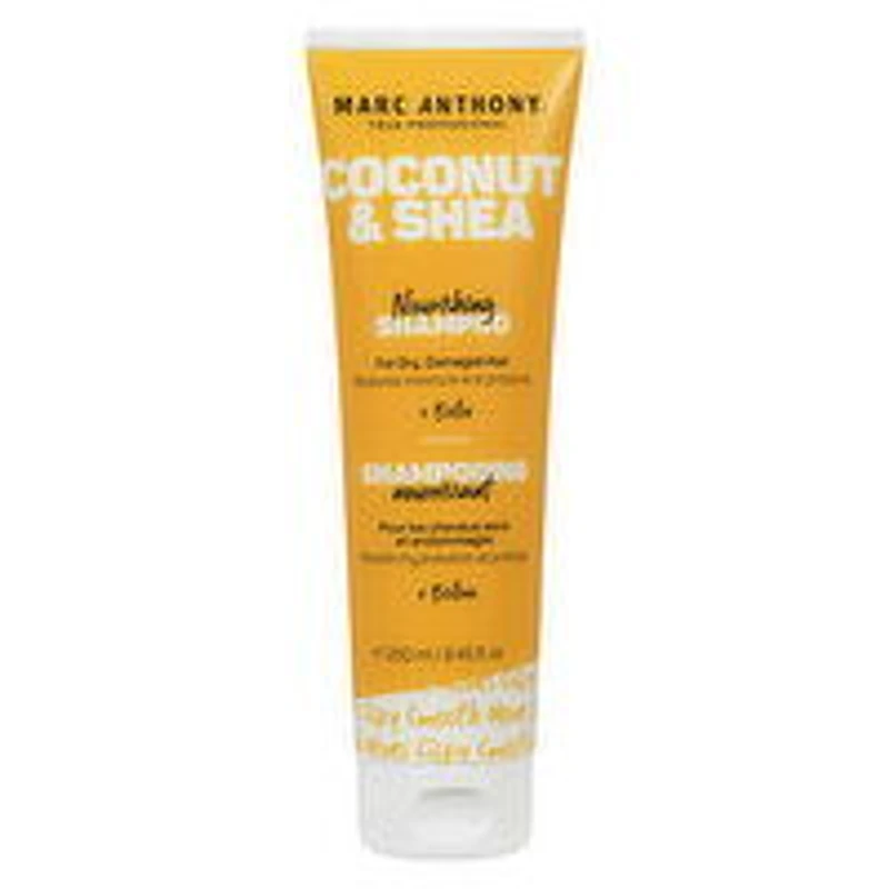 MARC ANTHONY - Coconut Oil & Shea Butter Shampoo, 250 Millilitre