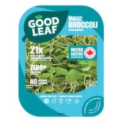 GoodLeaf Farms - Micro Greens Magic Micro Broccoli, 50 Gram