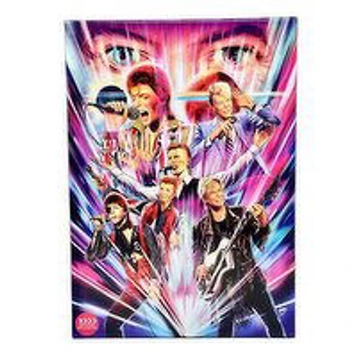 Road Crates - David Bowie Sound Of Light 1000pc Jigsaw Puzzle, 1 Each