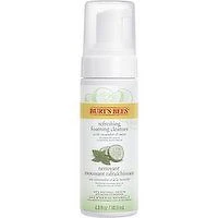 Burt's Bees - Gentle Foaming Cleanser, 141.9 Millilitre