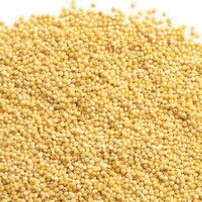 Millet - Organic Hulled, Bulk, 100 Gram