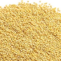 Millet - Organic Hulled, Bulk, 100 Gram