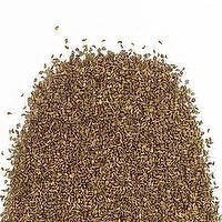 N/A - Ajwain, 1 Pound