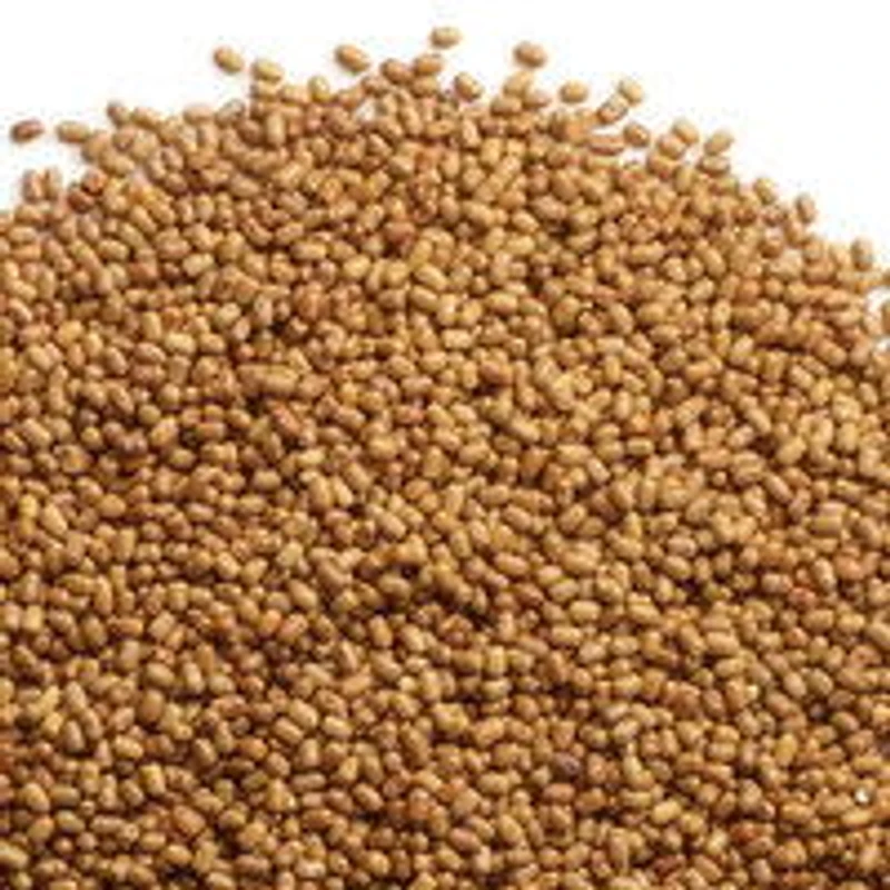 Moth - Lentils, 1 Pound