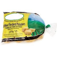 Potatoes - Yellow Flesh Potatoes, 5 Pound