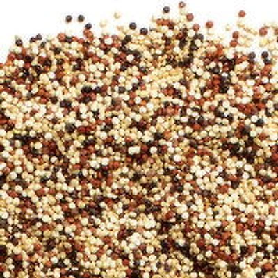 Quinoa - Organic Tri Color Seeds, Bulk, 100 Gram