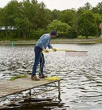 Râteau Weed Raker
