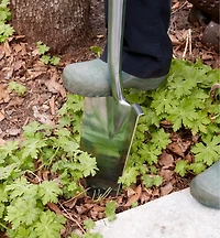 Stainless-Steel Transplant Spade