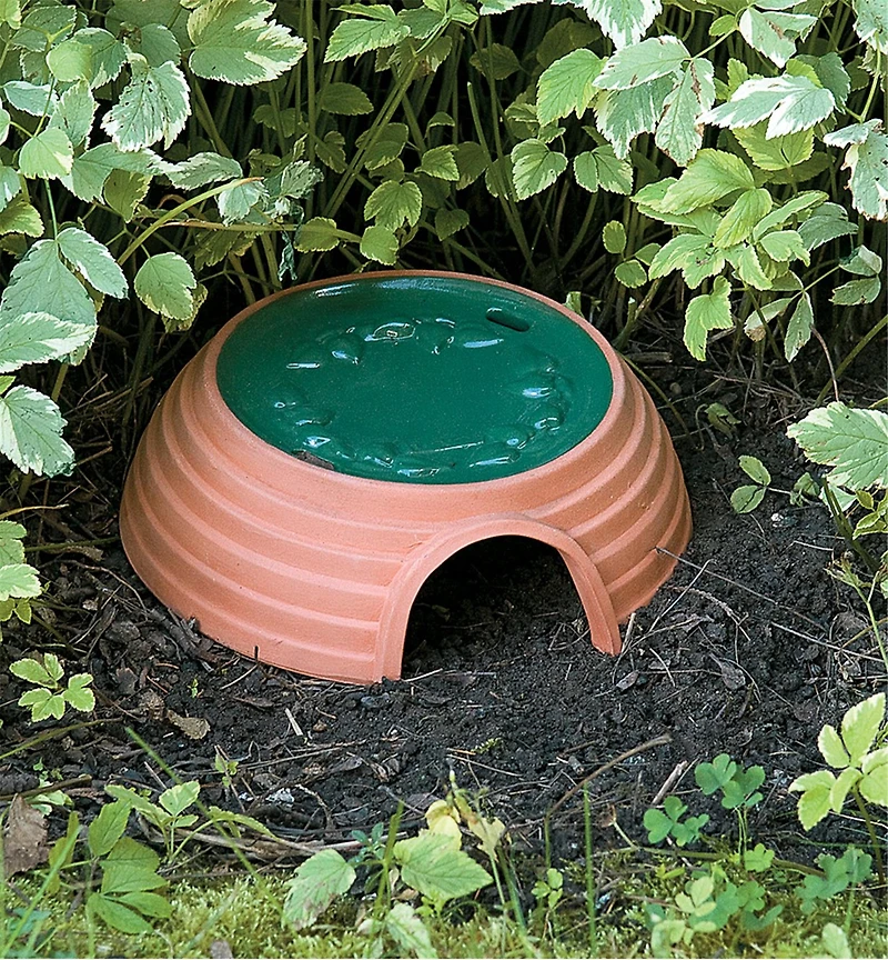 Lee Valley Toad House