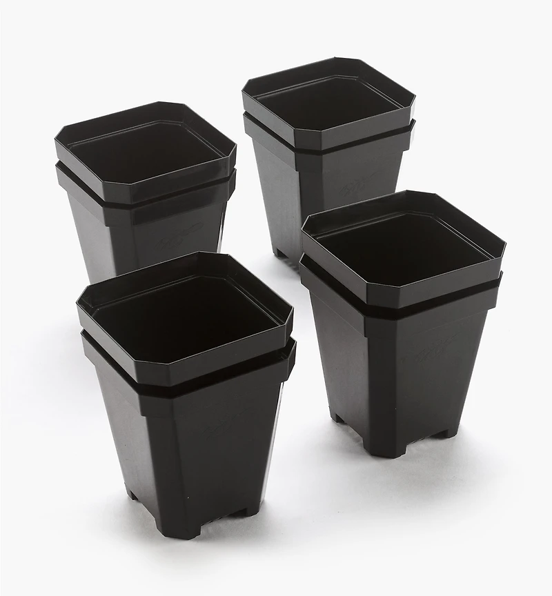 Pots de 5 po