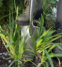 Transplant Spade