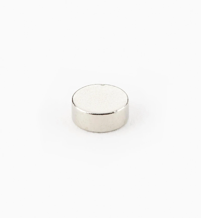 Rare-Earth Circular Magnets