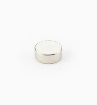 Rare-Earth Circular Magnets