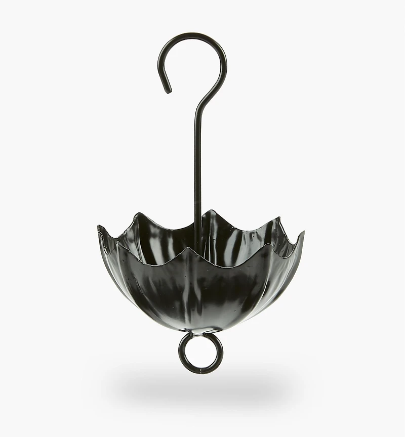 Douve à fourmis en forme de parapluie