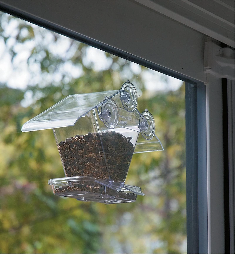 Window Bird Feeder