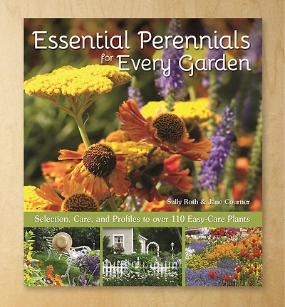 Essential Perennials for Every Garden