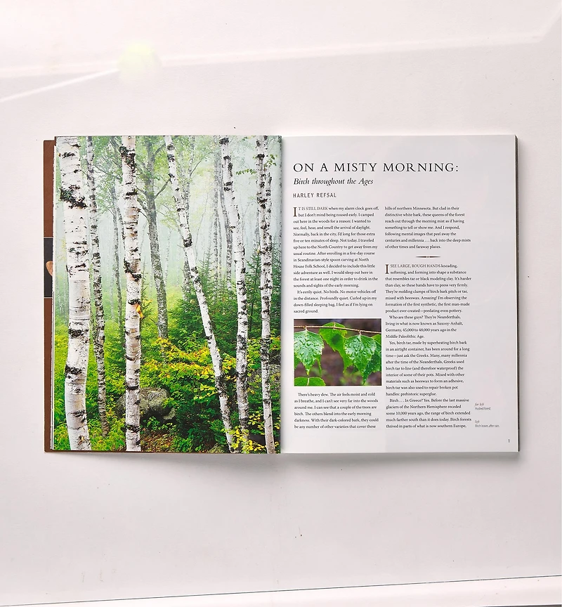 Celebrating Birch