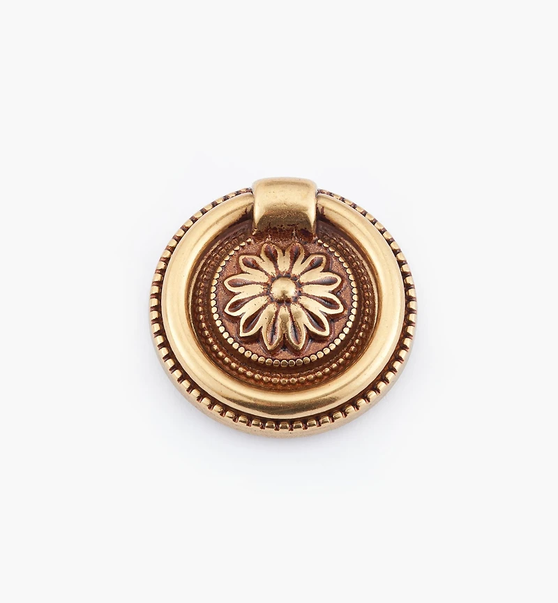 Louis XVI Ring Pulls