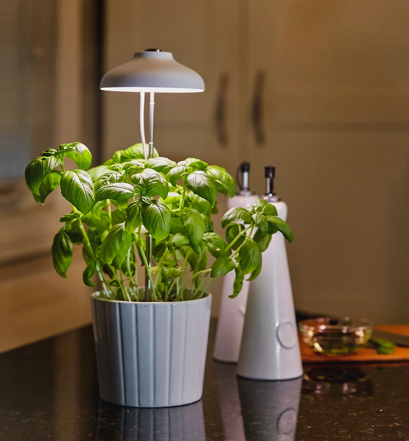 Mini LED Grow Light
