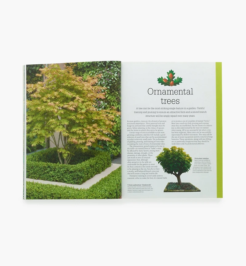 Pruning & Training