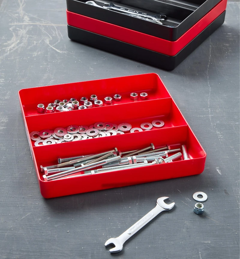 Three-Compartment Tray