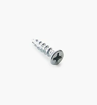 Phillips Hinge Edge Screws