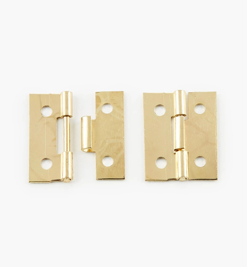 Detachable Hinges