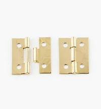 Detachable Hinges