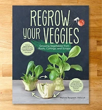 Regrow Your Veggies