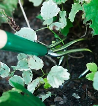 Lee Valley Claw Cultivator