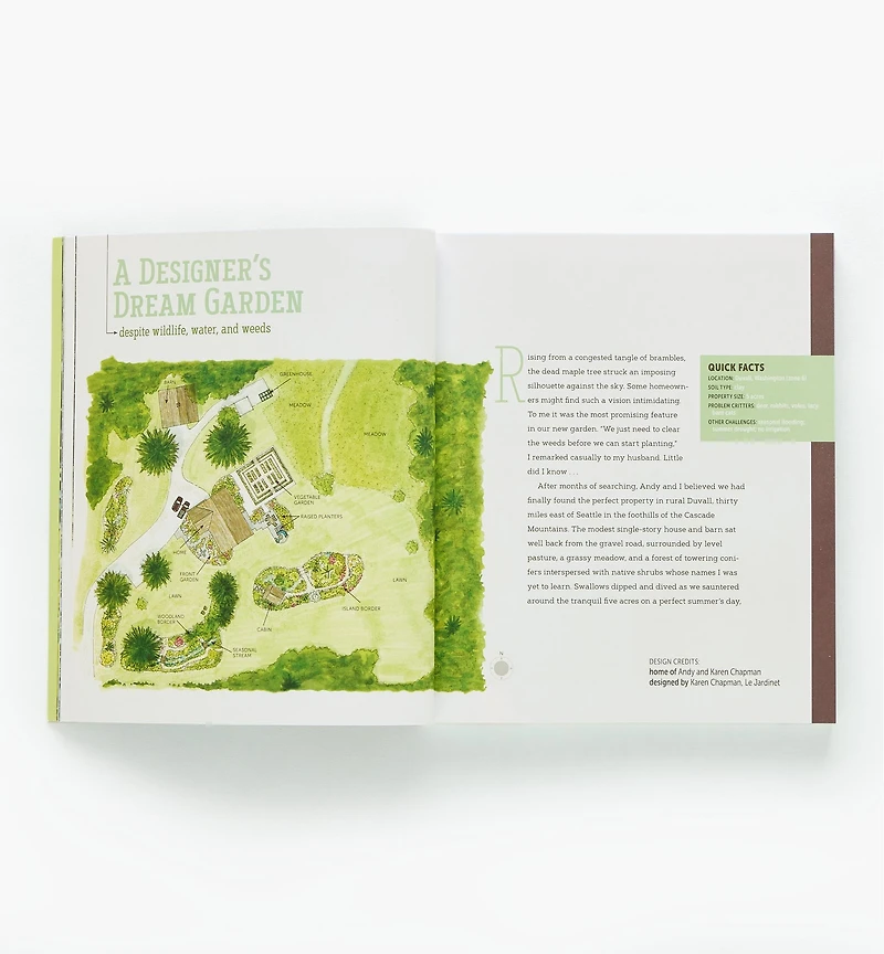 Deer-Resistant Design – Fence-Free Gardens that Thrive Despite the Deer