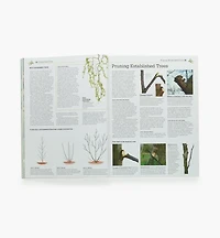 Pruning & Training